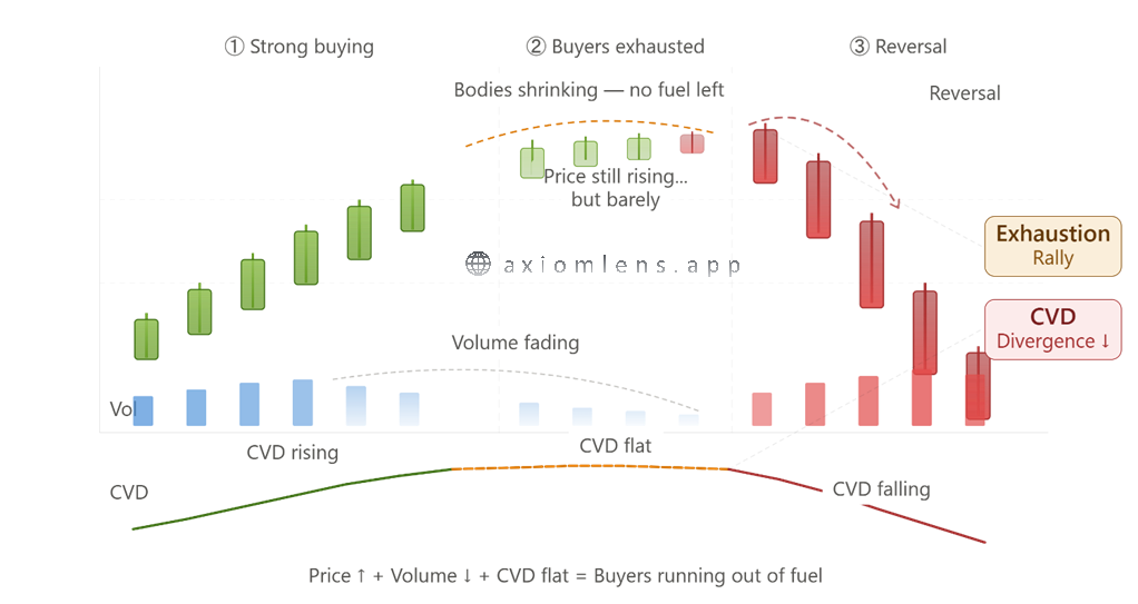 What is an Exhaustion Rally in Crypto Futures and How to Identify It?