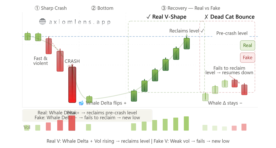 What is a V-Shape Recovery in Crypto and How to Tell if It's Real?